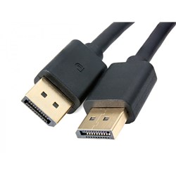 DisplayPort Cable 1m_2